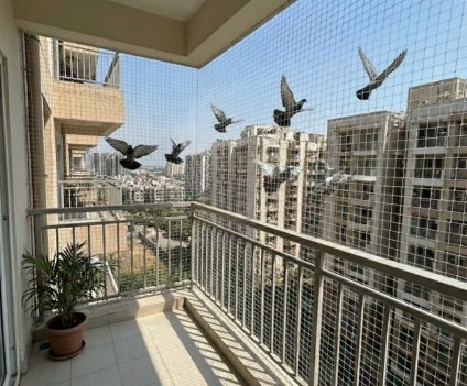 Pigeon Nets Installation